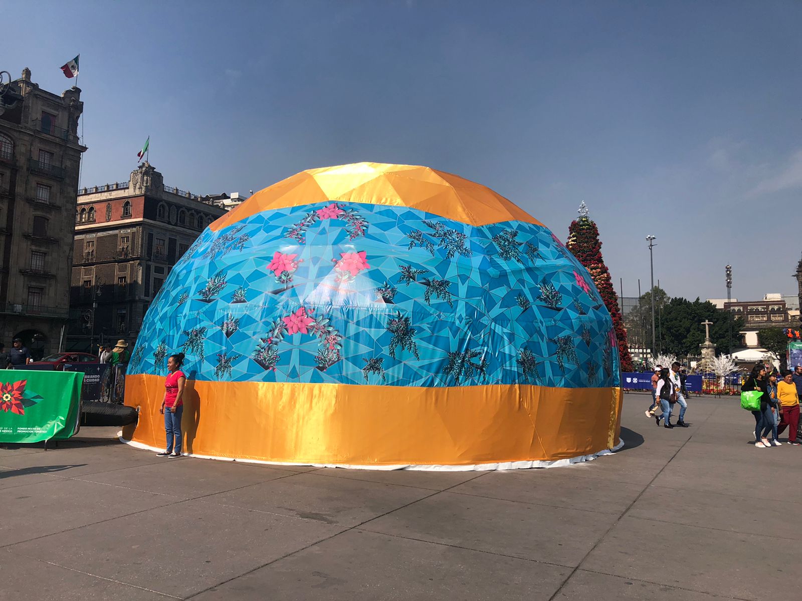 domo-geodésico-zóclo-2019